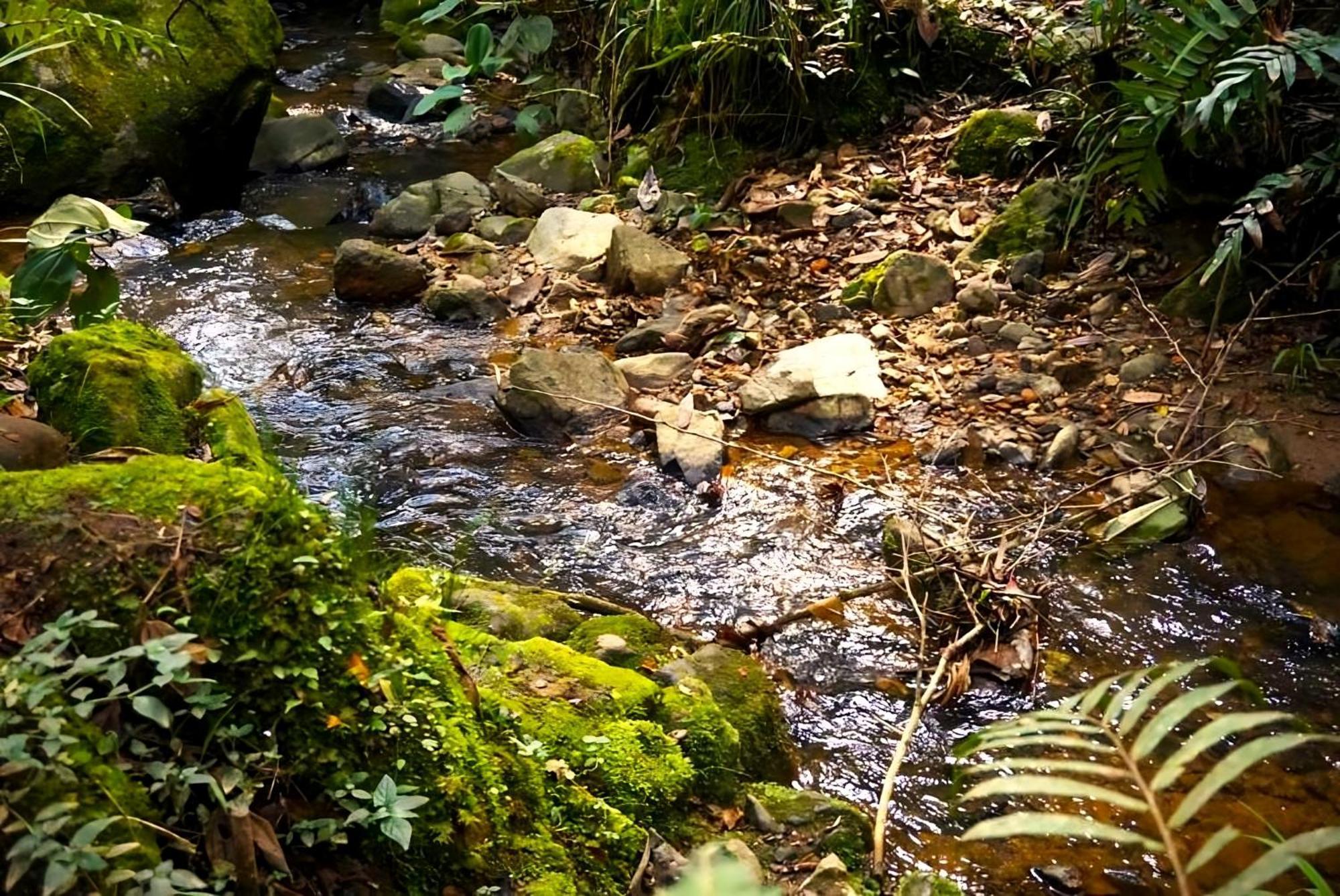 Encanto Minicasitas En Medio De La Naturaleza Santa Elena  Exterior photo