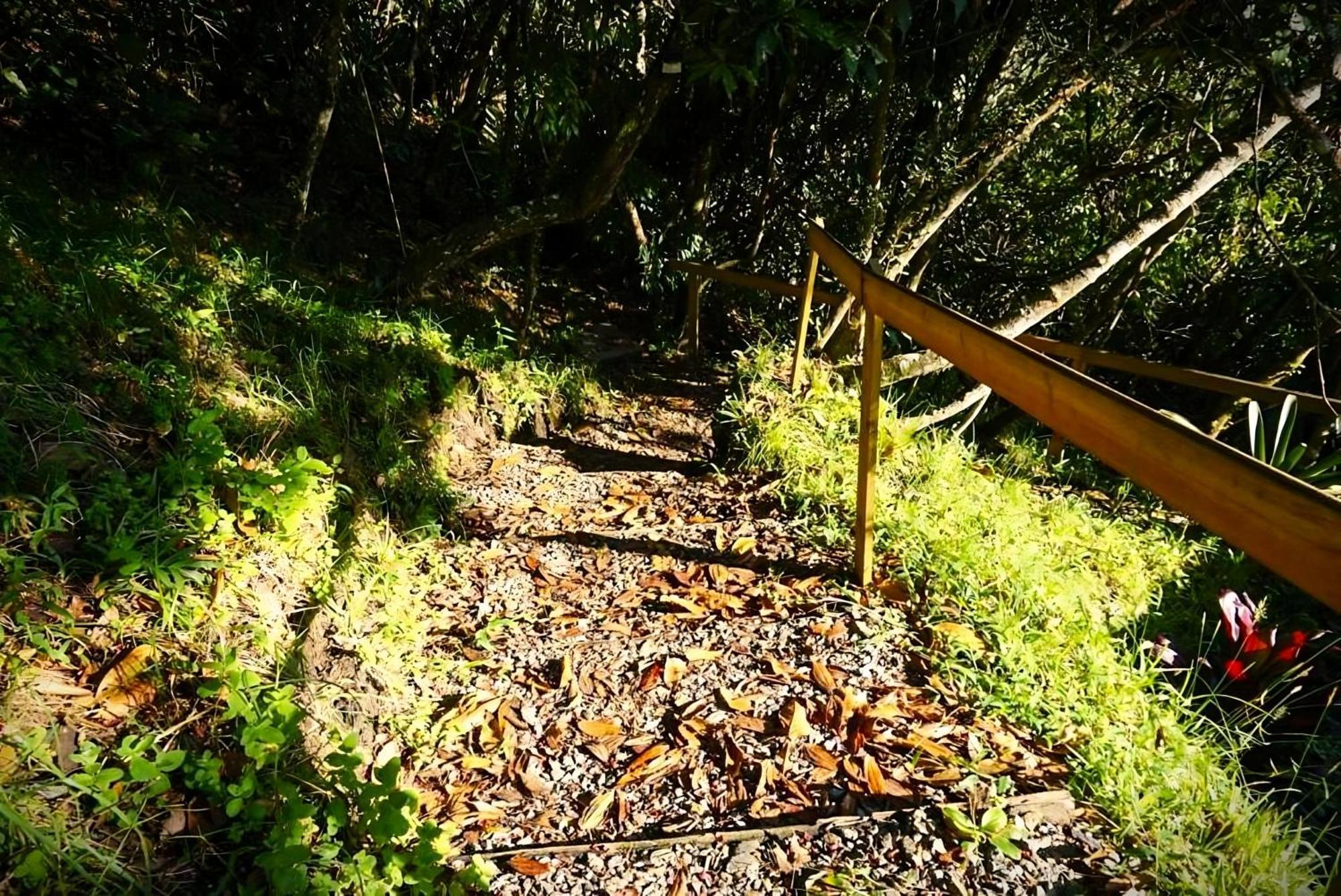 Encanto Minicasitas En Medio De La Naturaleza Santa Elena  Exterior photo